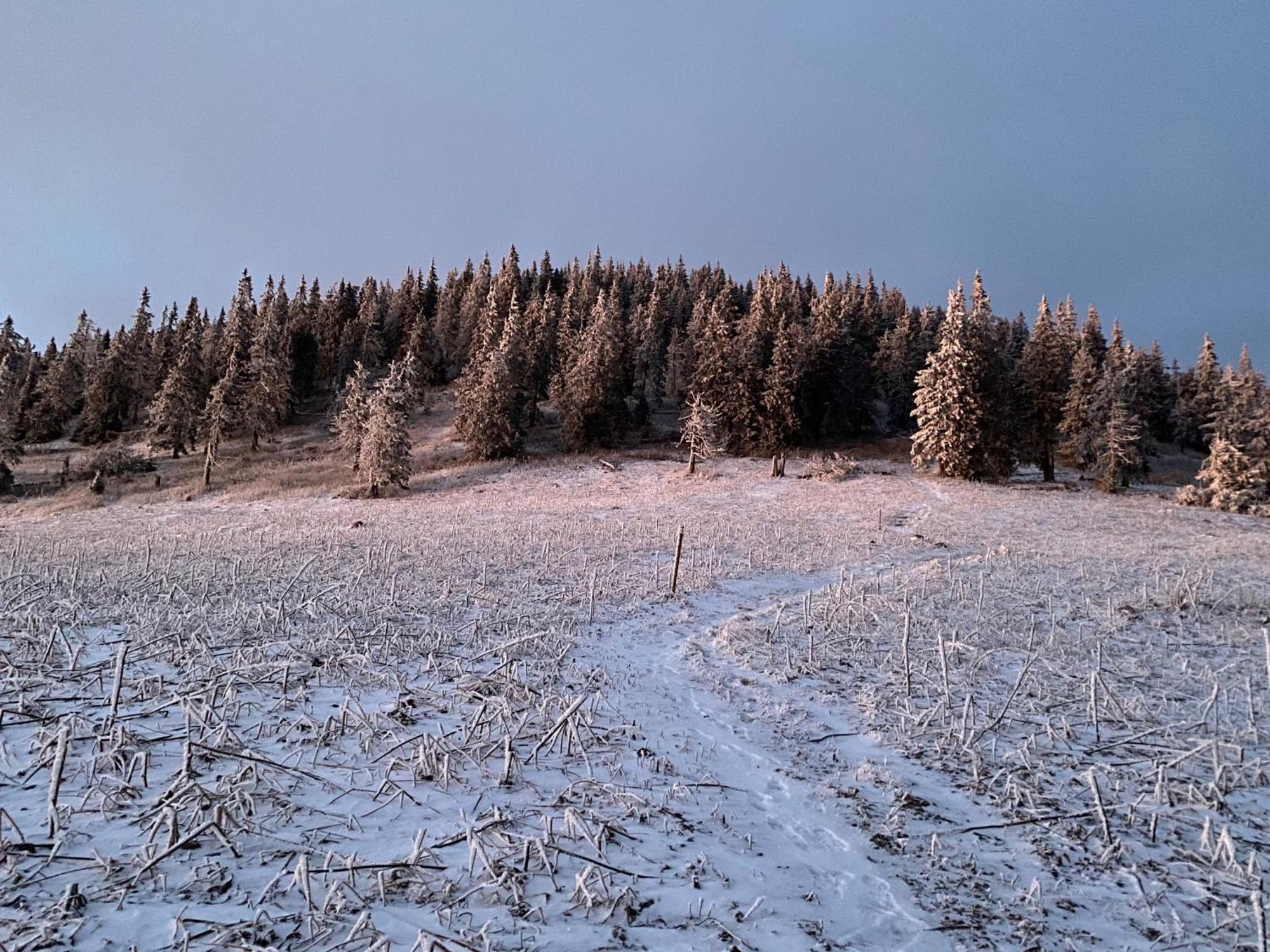 Drevenica Polomka, 20 Min To 5 Ski Resorts Brezno Extérieur photo